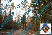 Продается земельный участок в п. Нагорное Медвежьи озера, 1900000 руб.