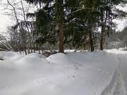 Лесной участок вблизи пос. Снегири, 4400000 руб.