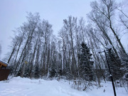 Лесной Участок, 25 соток, кп Финская Деревня, г. Чехов, свет оплачен, 3500000 руб.