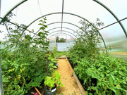 Дом в селе Смолево, 5699000 руб.