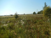 Продажа участка, Веригино, Сергиево-Посадский район, 24399900 руб.