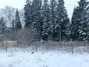 285 кв.м. в окружении хвойного леса, 24499999 руб.