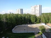 Троицк, 1-но комнатная квартира, ул. Солнечная д.4, 3650000 руб.