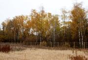 Участок у леса в охраняемом коттеджном поселке в Новой Москве, 13800000 руб.