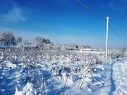 Деревенский участок 15 соток в п. Новосёлки, Каширского района, 1300000 руб.