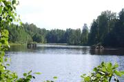 Сказочный сосновый лес и великолепное озеро, участок 8 соток, 50 км., 500000 руб.
