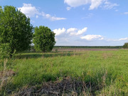 Участок в деревне Станинская, 1100000 руб.