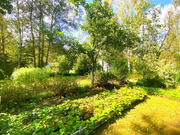 Дача в СНТ Заречье, 1500000 руб.