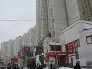 Москва, 1-но комнатная квартира, ул. Братиславская д.24, 6600000 руб.