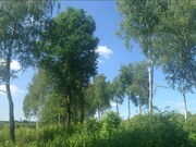 Лесной участок 18.4 соток. Коммуникации, прописка Москва. 30 км от МКАД, 3300000 руб.