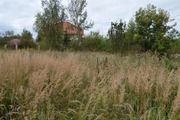 Продам земельный участок 10 соток в селе Речицы по улице 2-ая Луговая., 1600000 руб.