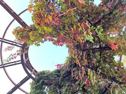 Москва, 1-но комнатная квартира, Ноковуркинское шоссе д.35к2, 17900000 руб.