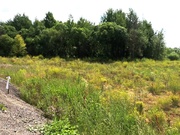 Земельный участок возле леса 19 соток д.Никульское (с.Остафьево), 7700000 руб.