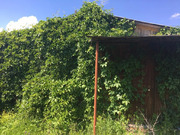 Продается дача, 900000 руб.