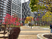 Москва, 2-х комнатная квартира, Большая Филевская улица д.3к4, 25500000 руб.