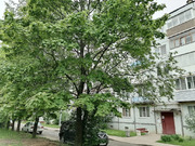 Кубинка, 2-х комнатная квартира, поселок санатория им. Герцена д.13, 3300000 руб.