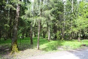 Замечательный участок около леса в Кубинке 60, 3590000 руб.