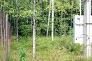 Продам лесной участок 15 соток в д. Гришино., 950000 руб.