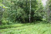 Продам лесной участок 15 соток в д. Гришино., 950000 руб.