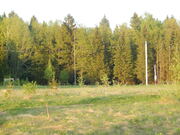 Участок 20 соток в п. Дорохово около леса, 699000 руб.