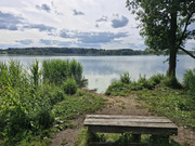 24,2 сотки ЛПХ в д. Редино, 8500000 руб.