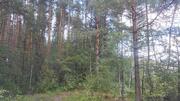 Продаётся земельный участок с лесными деревьями, 580000 руб.