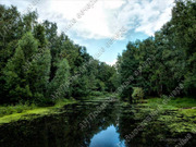 Москва, 1-но комнатная квартира, ул. Вилиса Лациса д.15, 8400000 руб.