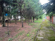 Продажа дома, Сергиево, Одинцовский район, 43976700 руб.