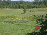 Продажа земельного участка, Богослово, Богородский г. о., 84000000 руб.