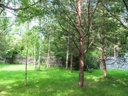 Дом баня в окружении леса, 800000 руб.