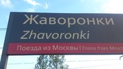 14,34 соток ЛПХ с газом в центре Жаворонок., 8700000 руб.