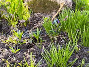 Продажа дома, Подольск, СНТ N7 тер., 7800000 руб.