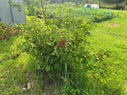 Дом в деревне Барышово, 4390000 руб.