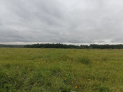 Продажа участка, Семеновское, Серпуховский район, 36180000 руб.