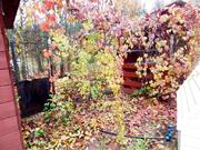 Дом 114 кв.м. на участке 10 соток в СНТ Озеры, д.Карасино, 3200000 руб.