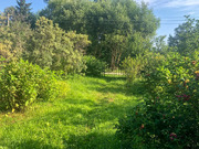 Купить дом в окружении леса можно уже сейчас!, 950000 руб.