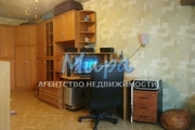 Москва, 1-но комнатная квартира, Щелковское ш. д.69, 5050000 руб.