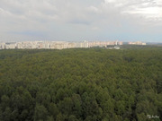 Москва, 1-но комнатная квартира, Старокрымская улица д.17, 8600000 руб.