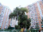 Москва, 2-х комнатная квартира, ул. Цюрупы д.8 к1, 14000000 руб.