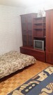 Чехов, 1-но комнатная квартира, ул. Полиграфистов д., 17000 руб.