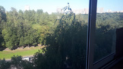 Москва, 3-х комнатная квартира, Нахимовский пр-кт. д.23к2, 15500000 руб.