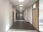 Офисное здание м. 1905 г., 55000 руб.