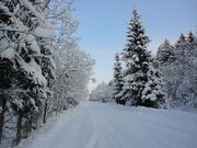 Дачный комплекс в СНТ Меркурий-Деденево у д. Деденево, 2990000 руб.