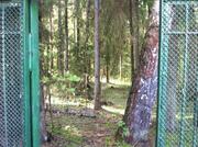 Дачный домик у леса в дачном поселке Бабаево, Рузский район, 93 км., 1000000 руб.