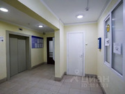 Краснознаменск, 2-х комнатная квартира, ул. Строителей д.12/3, 7600000 руб.