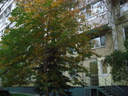Москва, 2-х комнатная квартира, ул. Спасская Б. д.8, 12500000 руб.