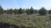 Продаётся земельный участок в Московской области, 850000 руб.