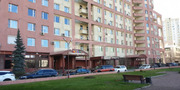 Москва, 4-х комнатная квартира, Мичуринский пр-кт. д.29, 68500000 руб.