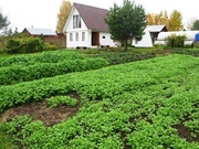 Летний дом в деревне на участке 15 соток., 1999000 руб.