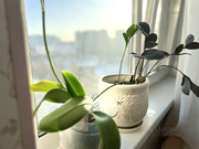 Москва, 1-но комнатная квартира, ул. Маршала Голованова д.1, 15500000 руб.